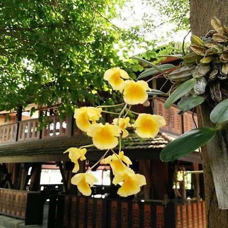 Heuan Parittapa Lanna Resort Baan Tawai Chiang Mai Exterior foto